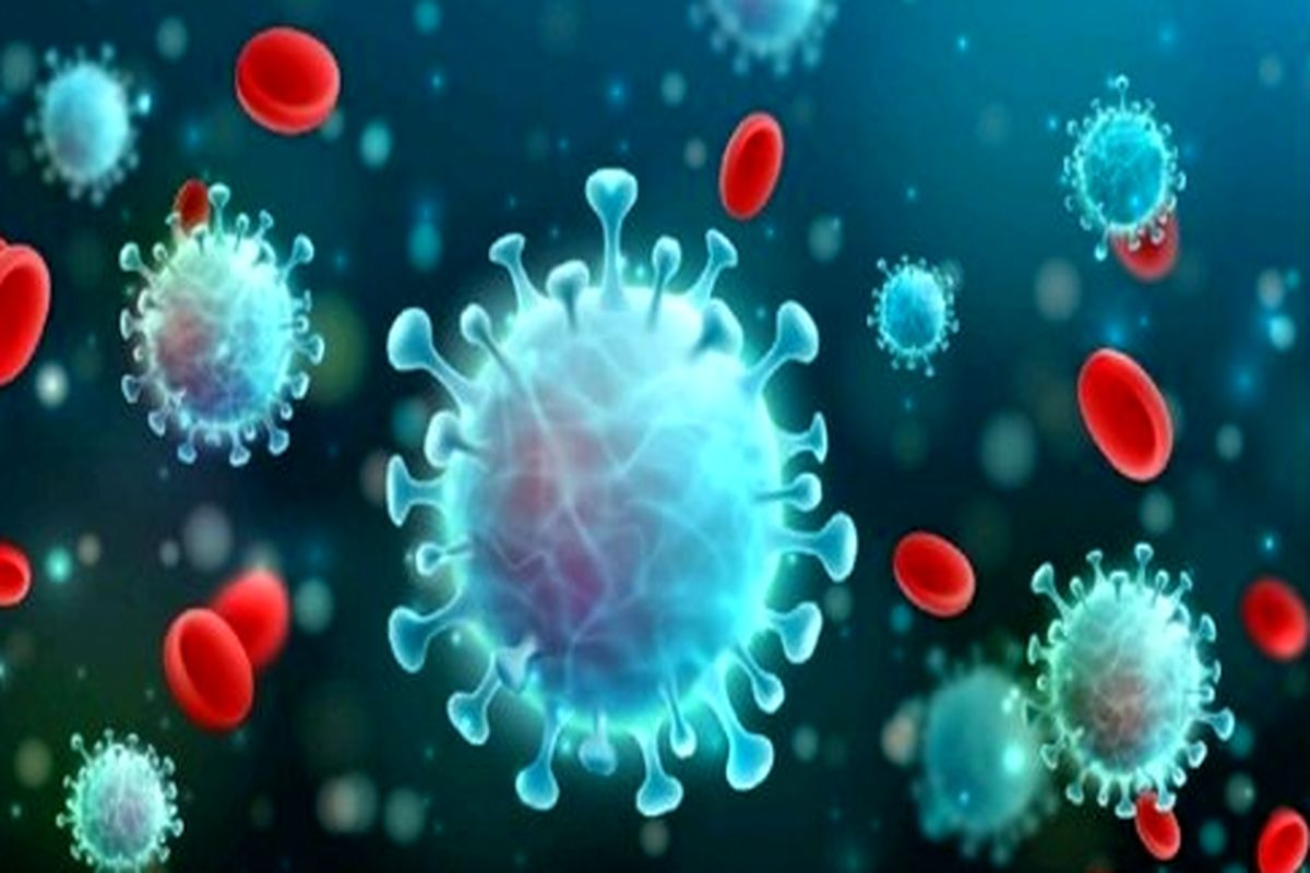 تعداد قربانیان کرونا در آمریکا از یک میلیون نفر عبور کرد