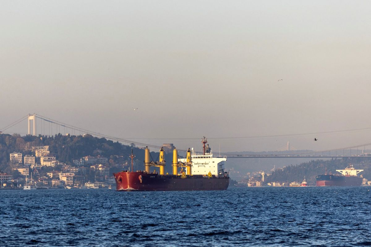 توافق ترکیه و روسیه با ارسال رایگان غلات به کشورهای آفریقایی