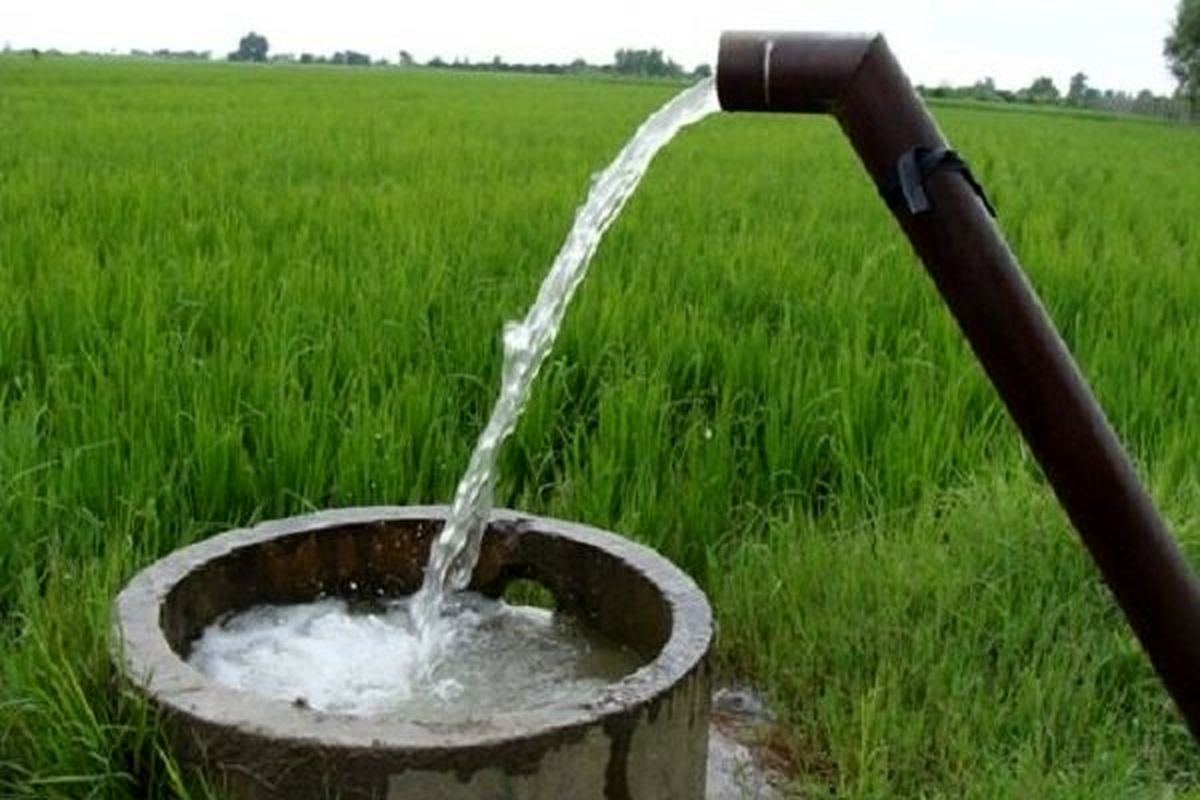کوچکی نژاد: افزایش ۲۰۰ درصدی آب بهای کشاورزان ظلم است/ نیکزاد: موضوع را پیگیری می کنیم