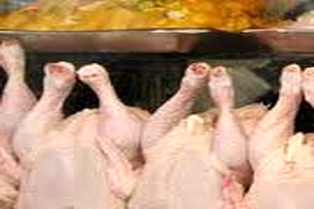 مازاد گوشت مرغ در استان از تولید مطلوب نشان دارد