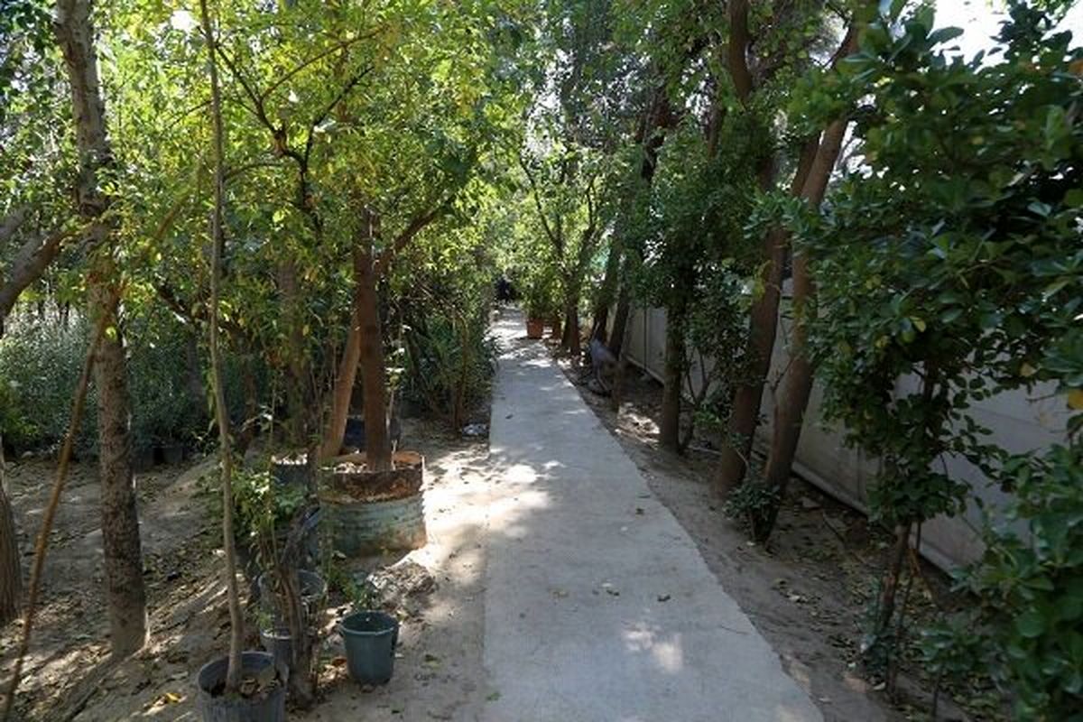 رفع تملک باغ عزیز منطقه ۱۰ تهران در دستور کار شهرداری قرار گرفت