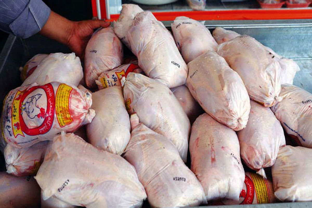 ضایعات ۳۰ درصدی مرغ کامل در پاکسازی خانگی به زباله تبدیل می‌شود