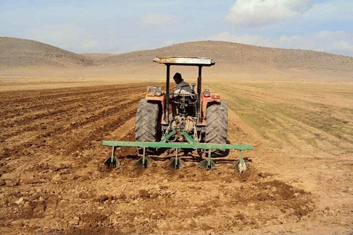 ۱۰ هزار هکتار از مزارع سیستان و بلوچستان به زیر کشت گندم رفت