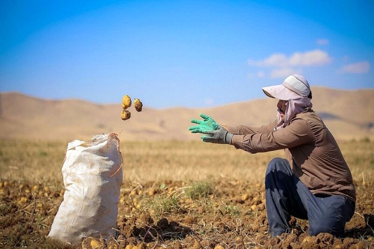 ایجاد یک هزار و ۳۵۳ شغل با تسهیلات روستایی در کهگیلویه و بویراحمد