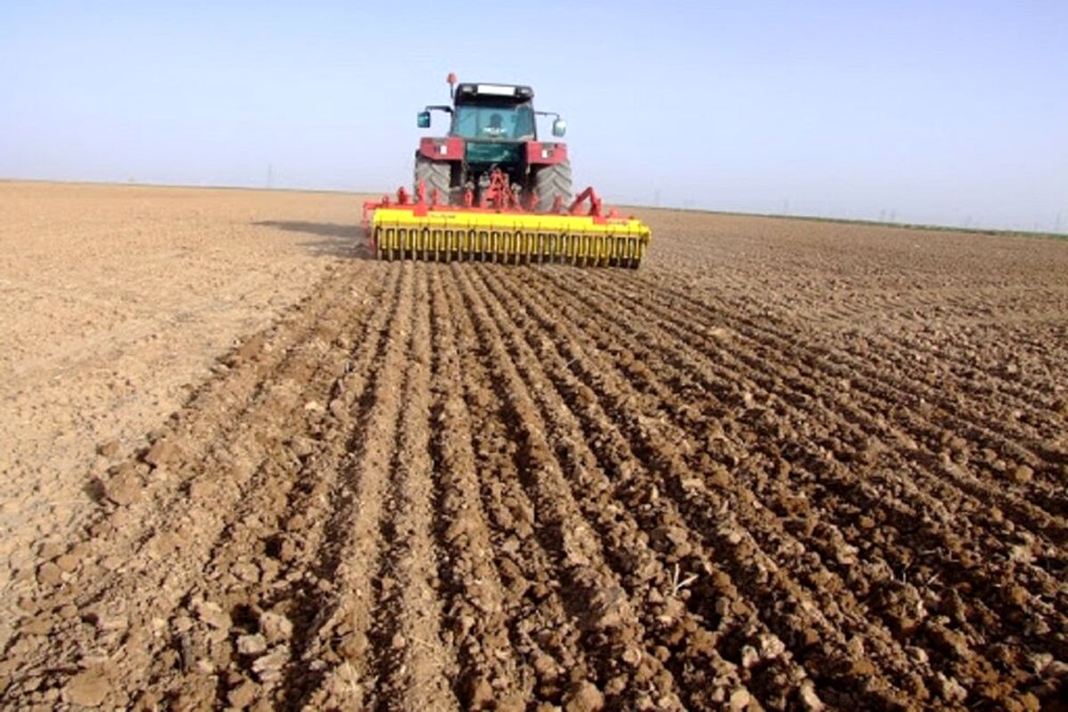 اجرا طرح جهش تولید دیم‌زارها در ۲۸۰ هزار هکتار اراضی آذربایجان غربی