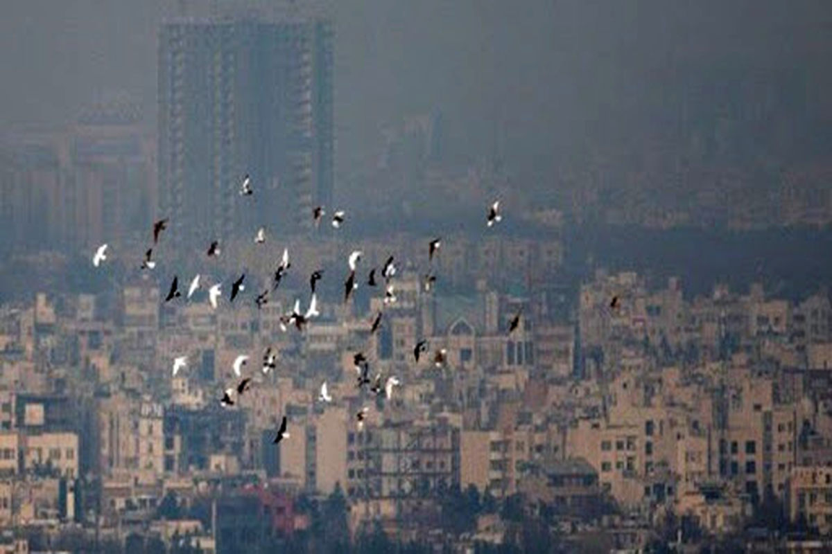 تداوم هوای آلوده پایتخت برای گروه های حساس