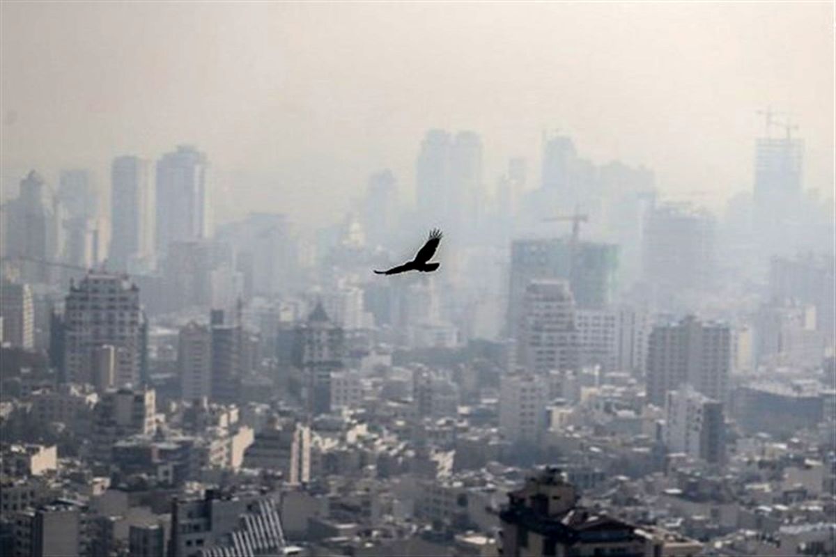 افزایش غلظت آلاینده های هوای تهران/  از فعالیت‌های فیزیکی و ورزشی در فضای باز پرهیز کنید