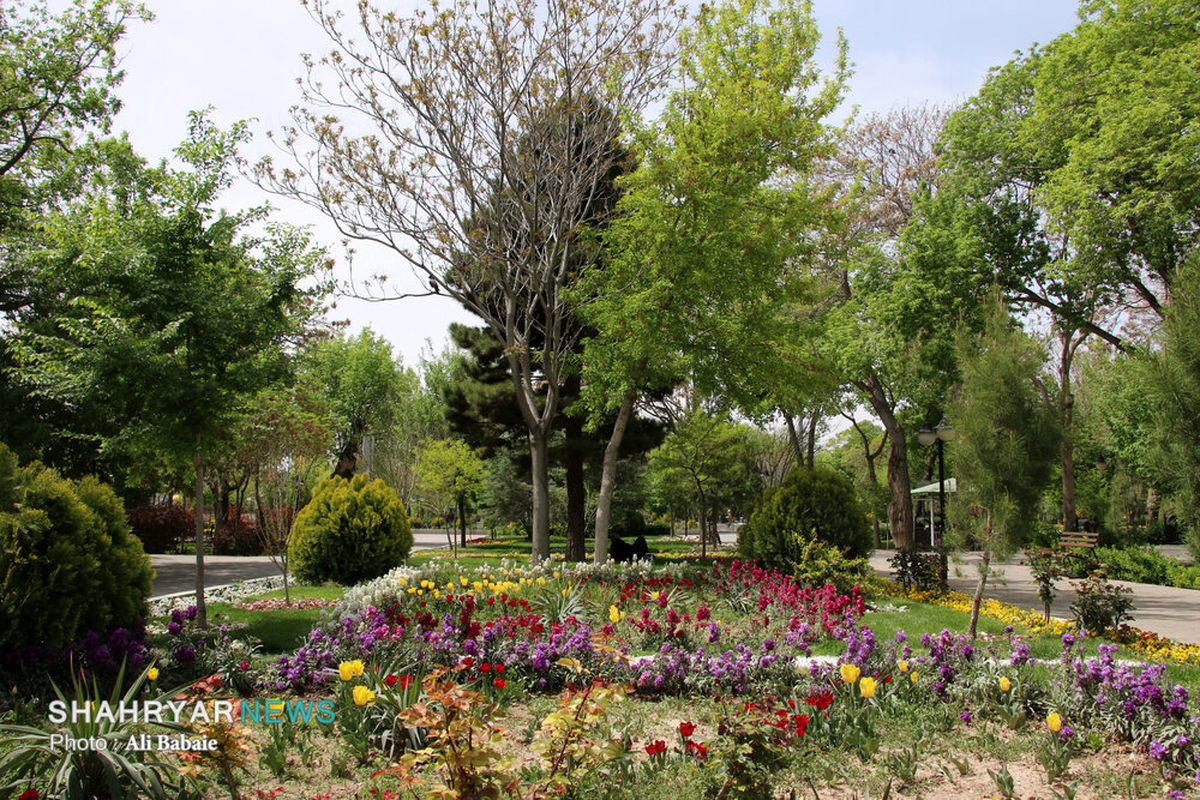 شهردار تبریز خبر داد: برنامه‌ریزی توسعه ۴۰۰ هکتاری فضای سبز در سال آینده