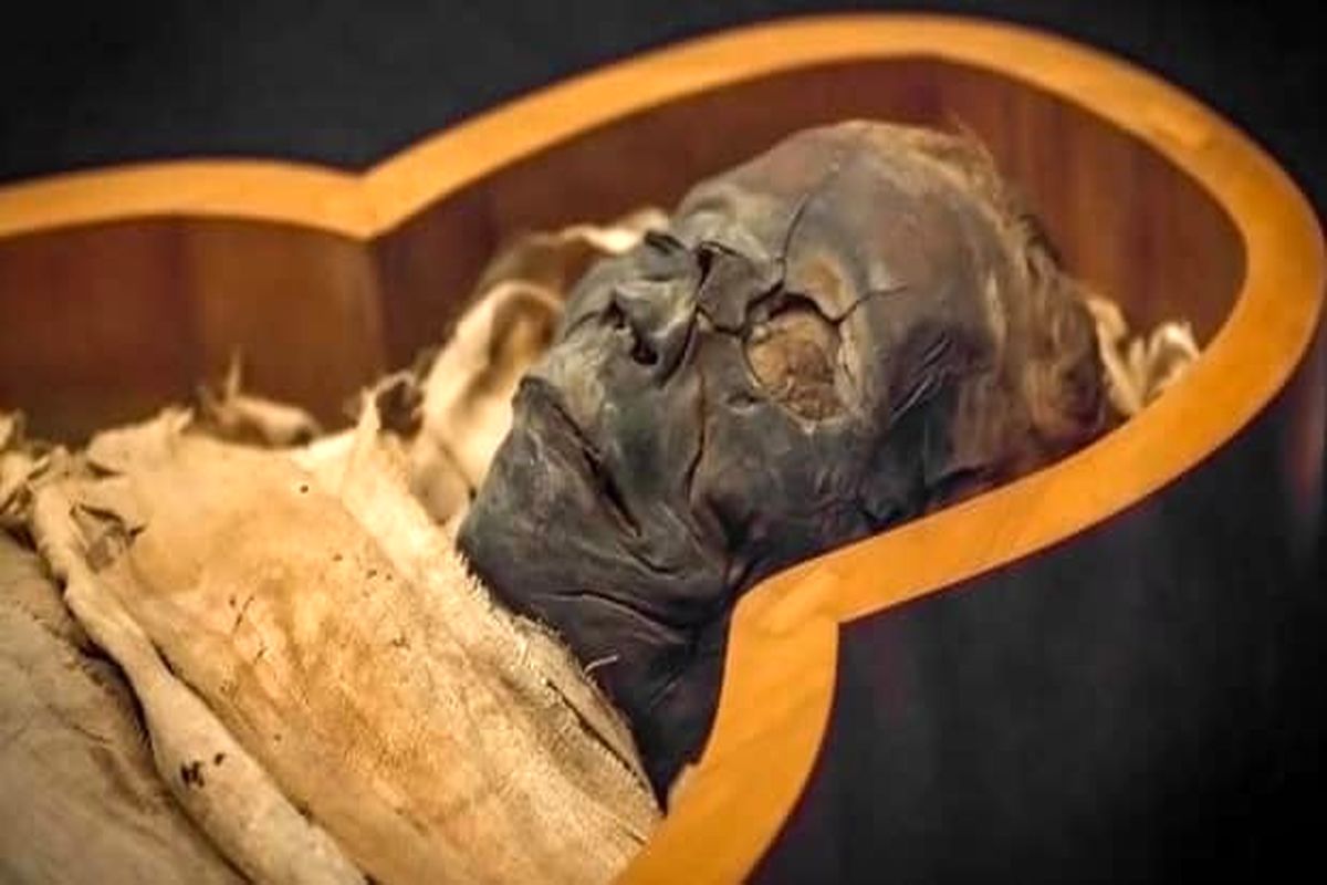 اکتشافات حیرت آور از عصر توت‌انخ آتون در مصر باستان