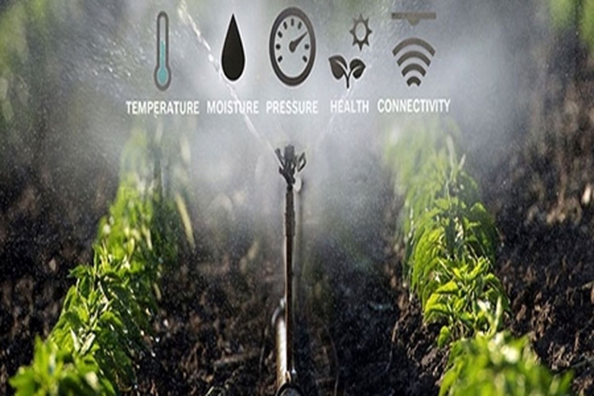 سامانه‌ای بومی و هوشمند به یاری مدیریت مصرف آب در کشاورزی آمد