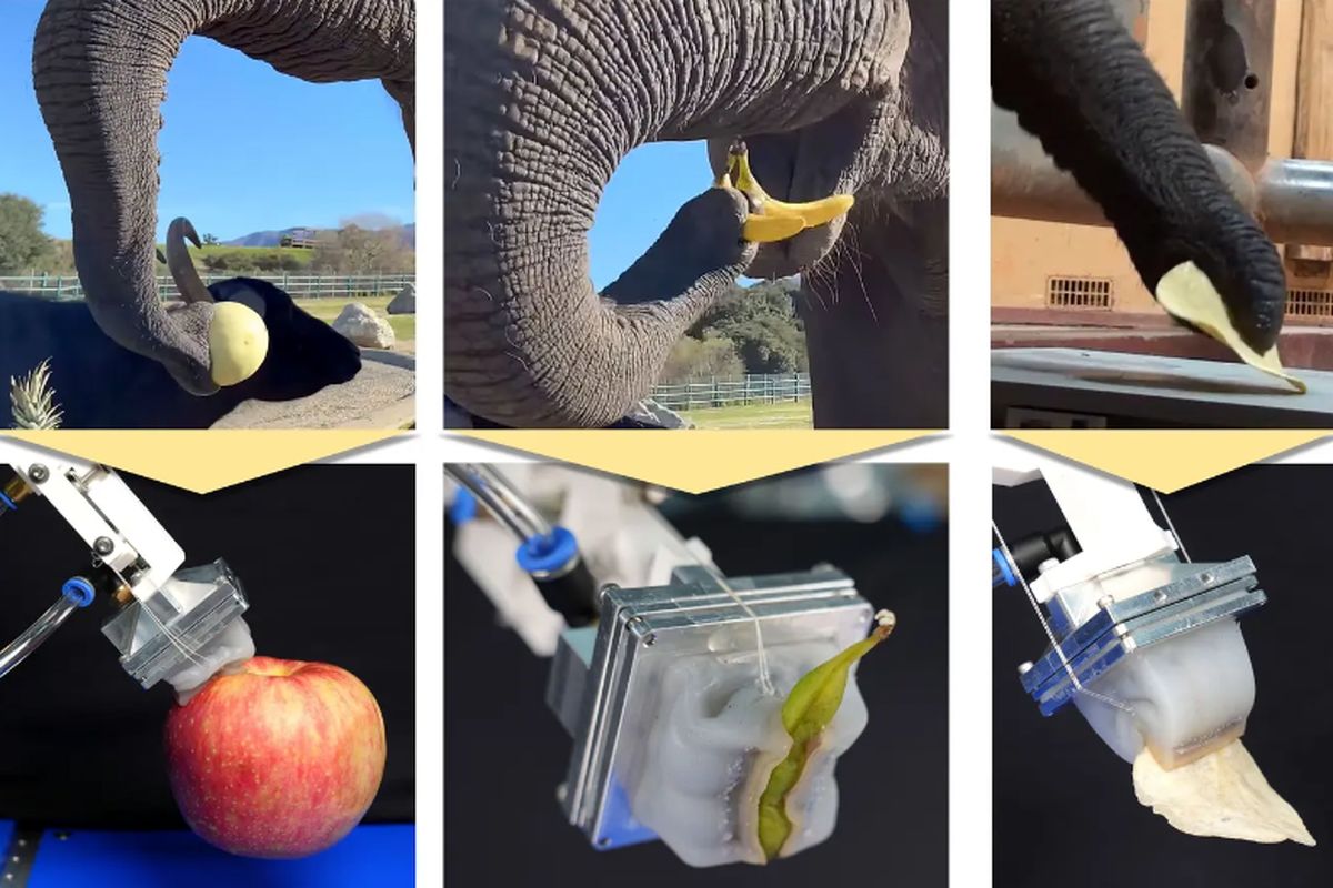 نخستین دست رباتیکی با الهام از خرطوم فیل در کره جنوبی  ساخته شد