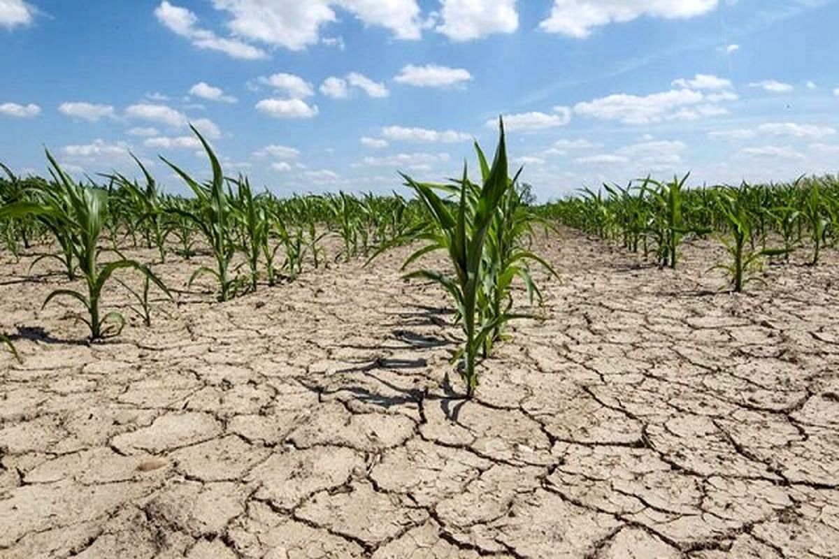 ابلاغ ۲۲۸ میلیارد تومان تسهیلات خسارت خشکسالی به خوزستان طبق مصوبه هیات وزیران