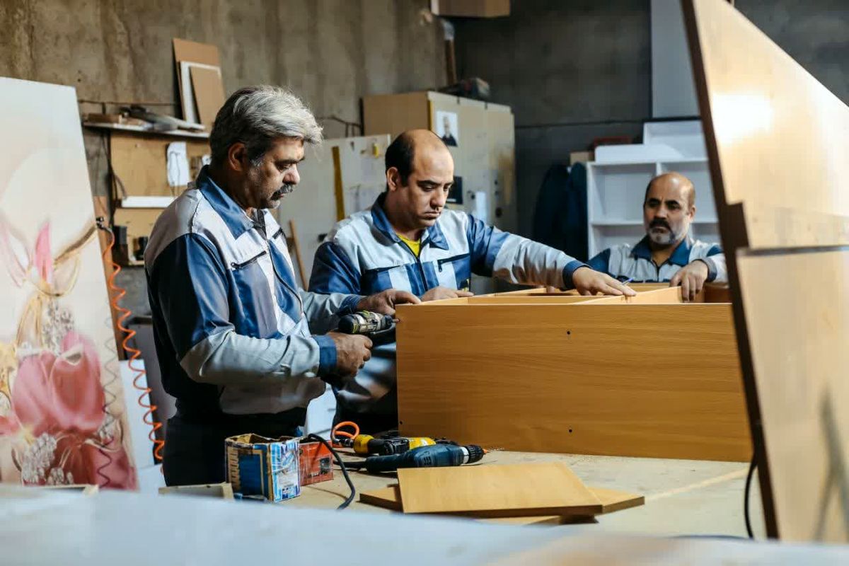 اشتغالزایی ۸۱ نفر در صنایع چوبی تک درخت/ حرکت به سمت جهانی شدن