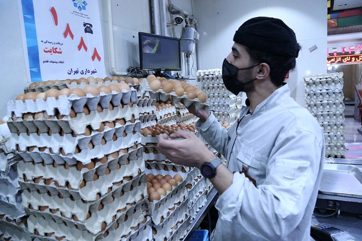 مصرف ۹۰ هزار تُن تخم مرغ در آذربایجان غربی