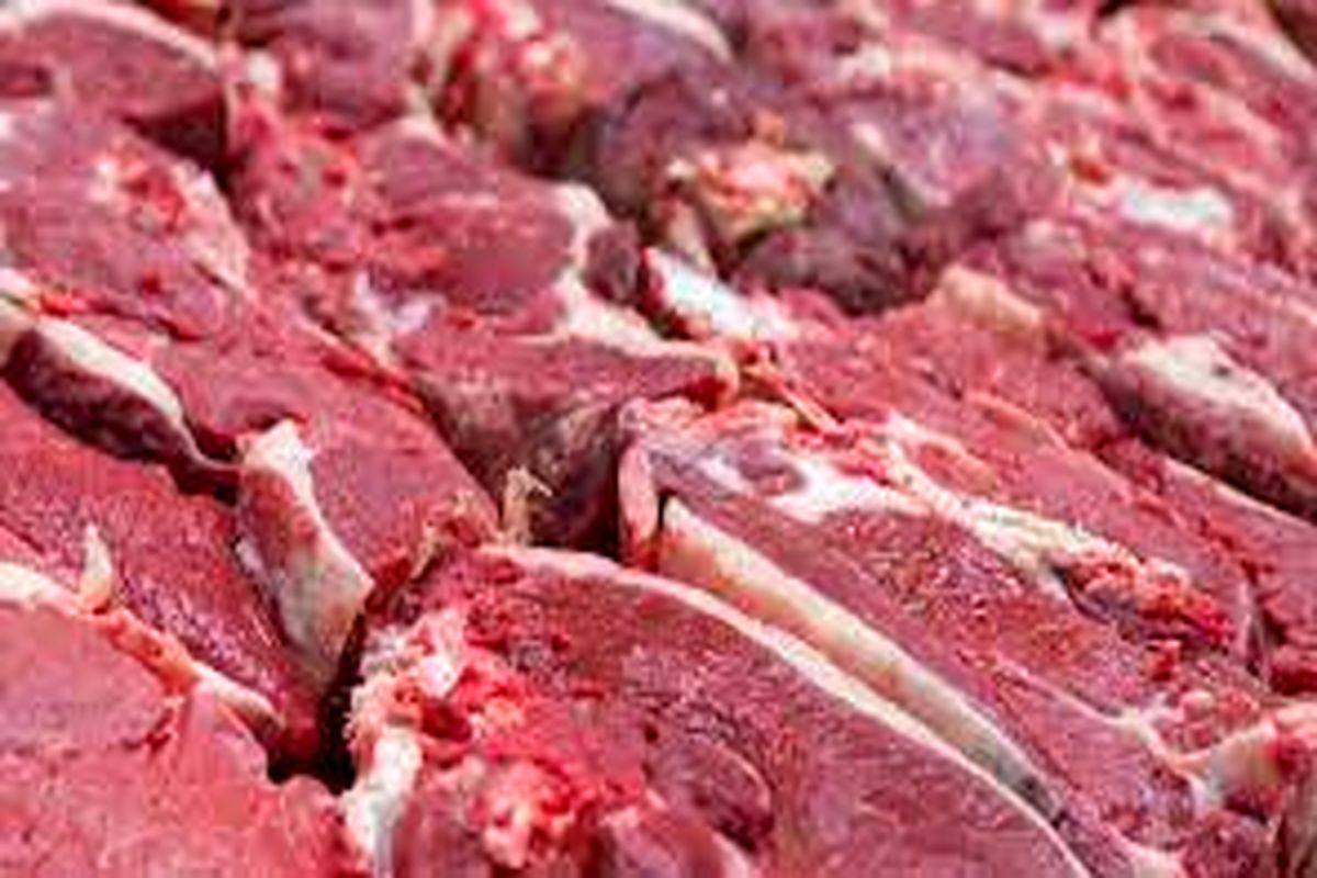 توزیع گوشت گوساله منجمد در فروشگاههای استان قزوین