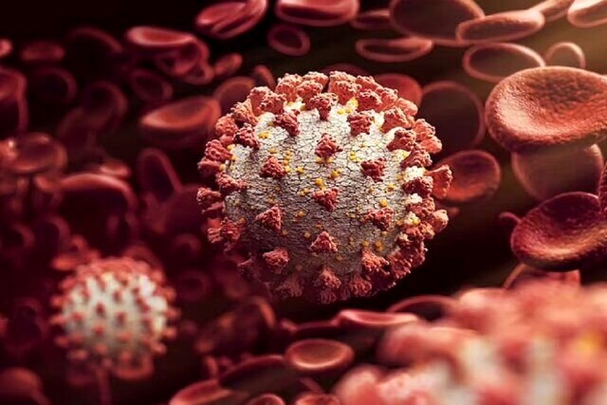 صفر کرونایی برای قم