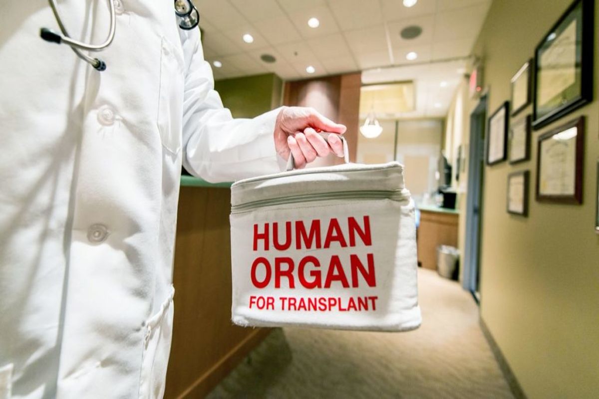 پیوند اشتباه کلیه سرطانی جان یک مرد را گرفت!