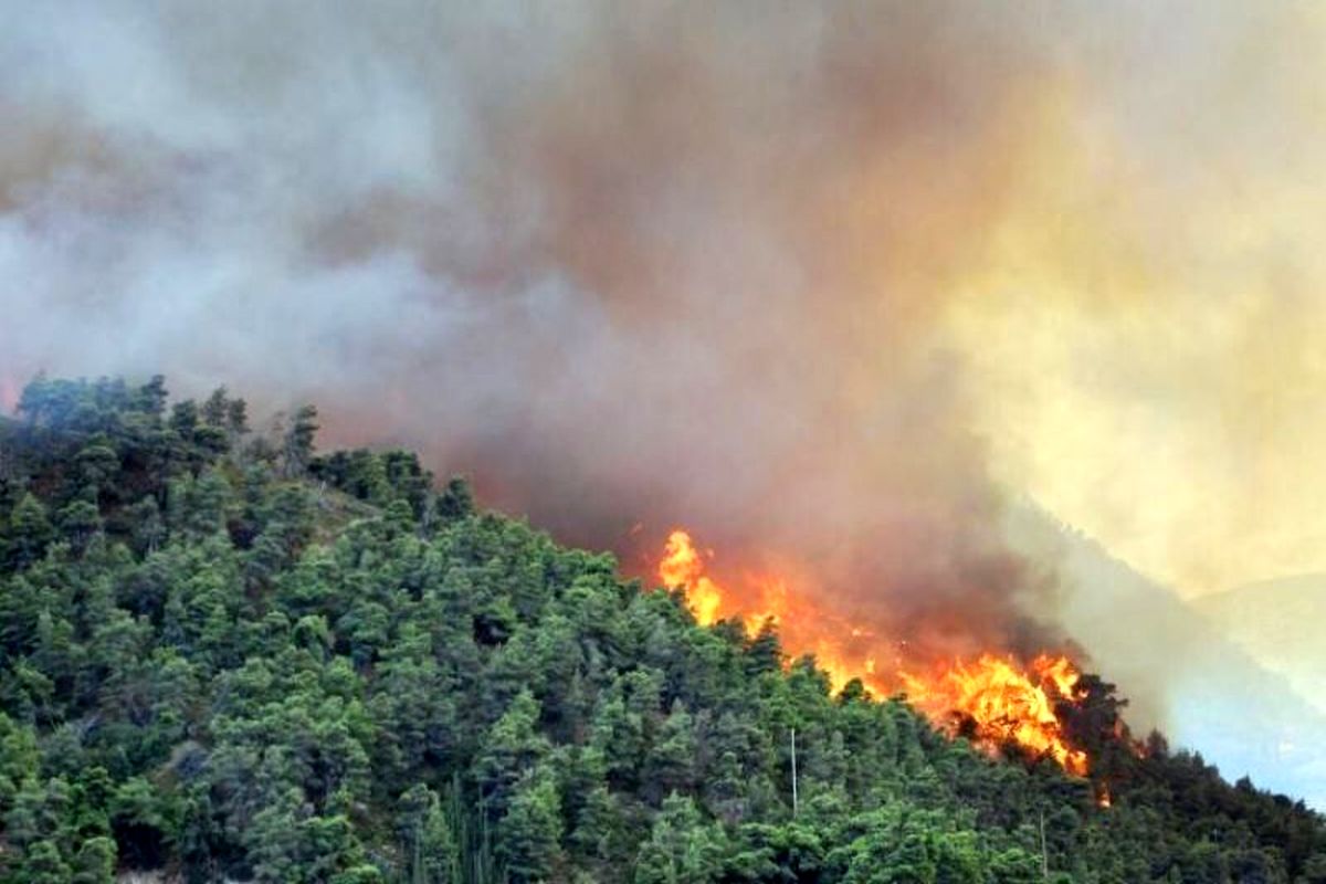 ۴۰ هکتار از جنگل های هیرکانی زیر دود آتش/ اطفا حریق ادامه دارد