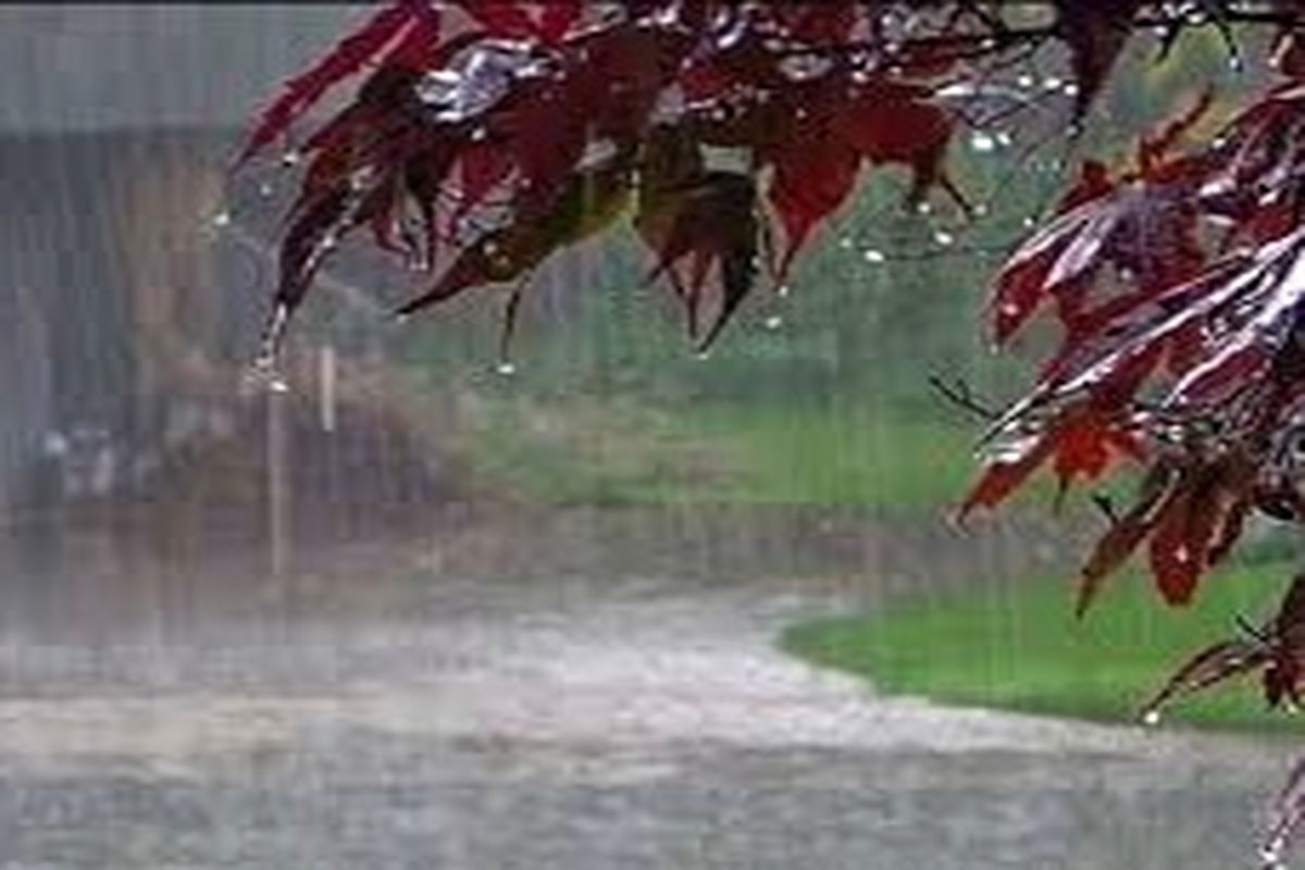 آغاز بارش باران از فردا در کهگیلویه و بویراحمد