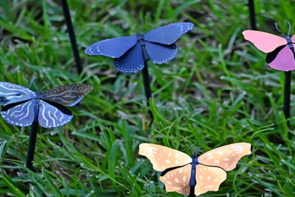 رنگ پلاسمونیک؛ سبک‌ترین رنگ جهان با الهام از بال‌های پروانه