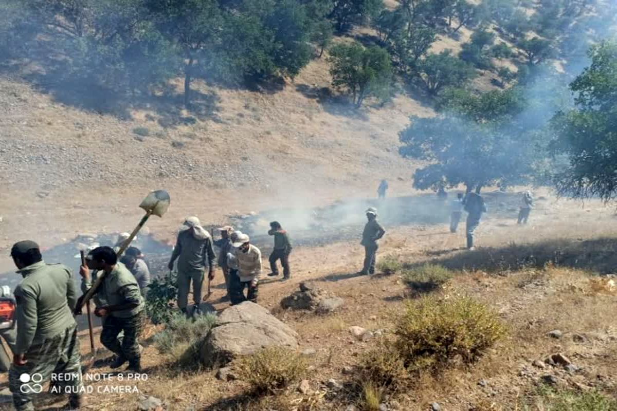 محیط زیست برای جلوگیری از آتش سوزی در طبیعت دست بکار شد