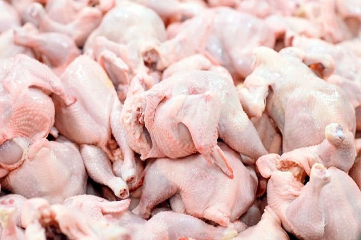 صدور مجوز بهداشتی واردات ۵۰ هزارتن گوشت مرغ گرم برای اولین بار در کشور جهت تنظیم بازار