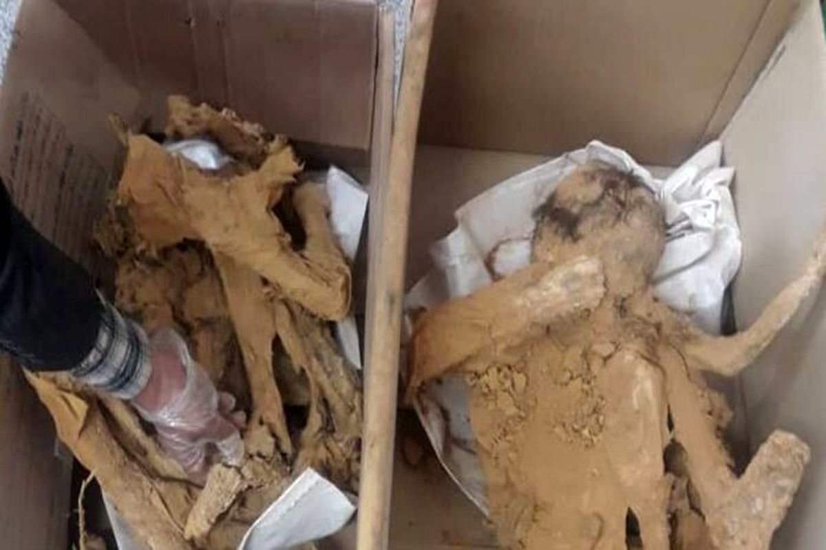 جسد کودکان سه هزار ساله در  تپه سگزآباد قزوین کشف شد