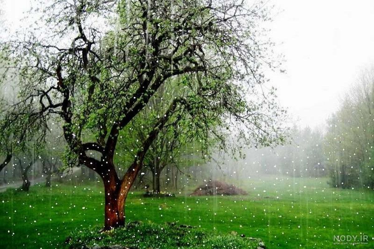 هوای استان قزوین در دو روز آینده بارانی است