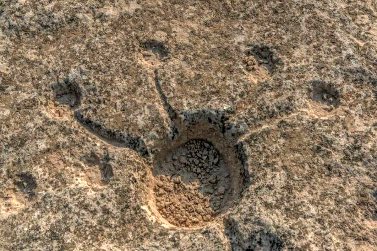 سنگ‌نگاره‌های مرموز قدیمی در صحرای قطر کشف شد