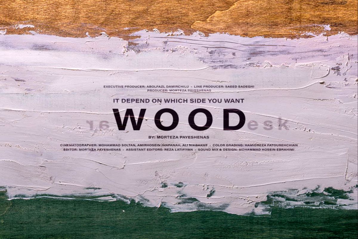 «چوب» در راه جشنواره فیلم‌ فرانسه