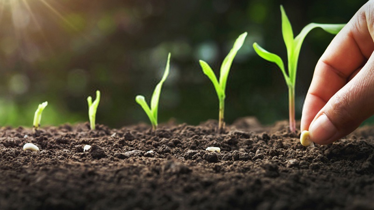 حفاظت از خاک حلقه فراموش شده توسعه کشاورزی حفاظت از خاک حلقه فراموش شده توسعه کشاورزی