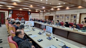 گوشت قرمز و مرغ به میزان کافی در استان قزوین تولید و توزیع می شود