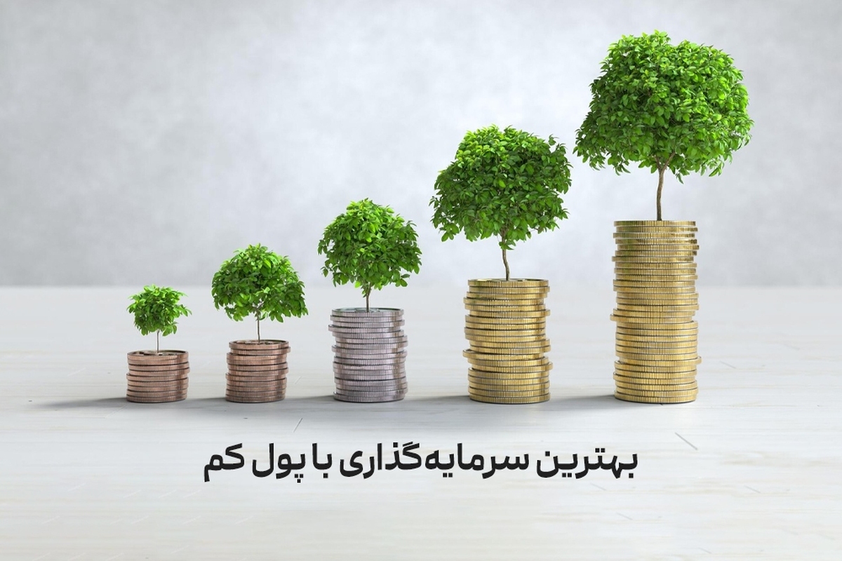 بهترین سرمایه گذاری با پول کم