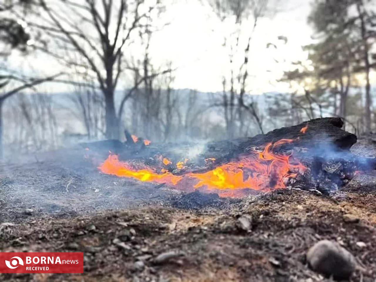 ادامه تلاشها برای مهار کامل آتش سوزی مناطق جنگلی سراوان رشت ادامه تلاشها برای مهار کامل آتش سوزی مناطق جنگلی سراوان رشت