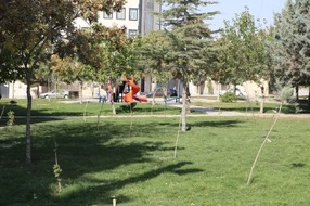 توزیع عادلانه خدمات و امکانات در مناظق مختلف شهر آبیک در اولویت شهرداری است 