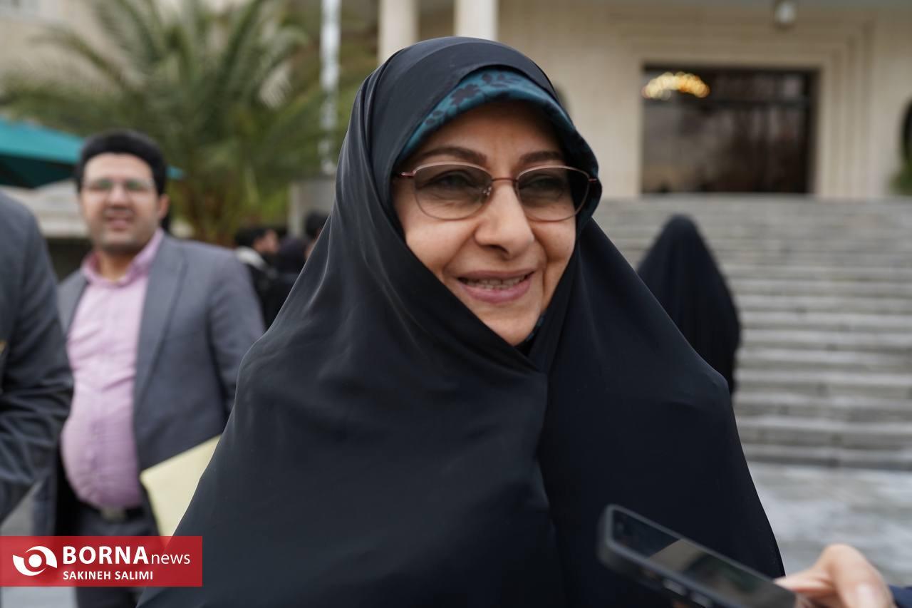 امروز حیاط دولت چگونه گذشت؟ / وزیر ارشاد: حضور معین در ایران مشکلی ندارد