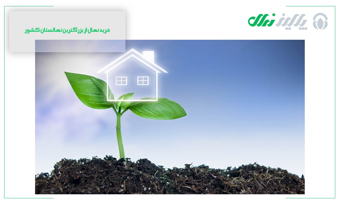 بهترین سایت خرید نهال در ایران بهترین سایت خرید نهال در ایران