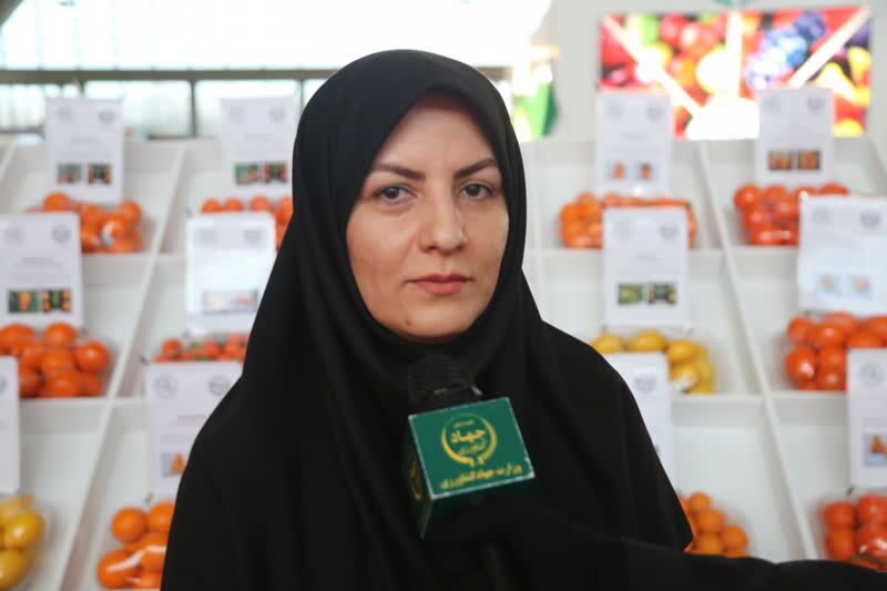استانداردسازی محصول کیوی در راستای رونق صادرات
