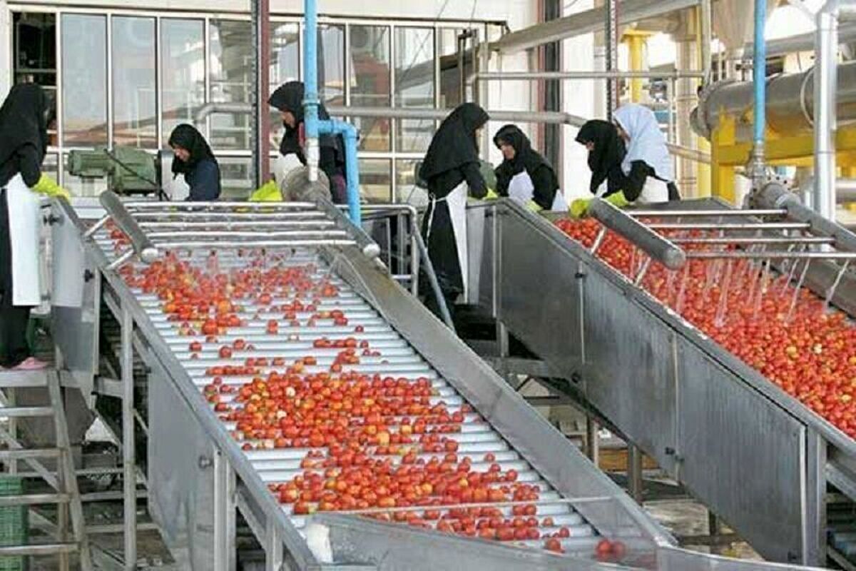 اشتغالزایی بیش از 14 هزار نفر در بخش صنایع تبدیلی و غذایی خوزستان