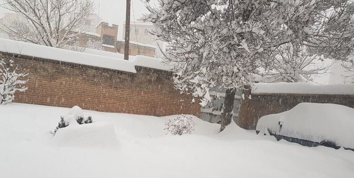 برف تهران را سفیدپوش می‌کند‌