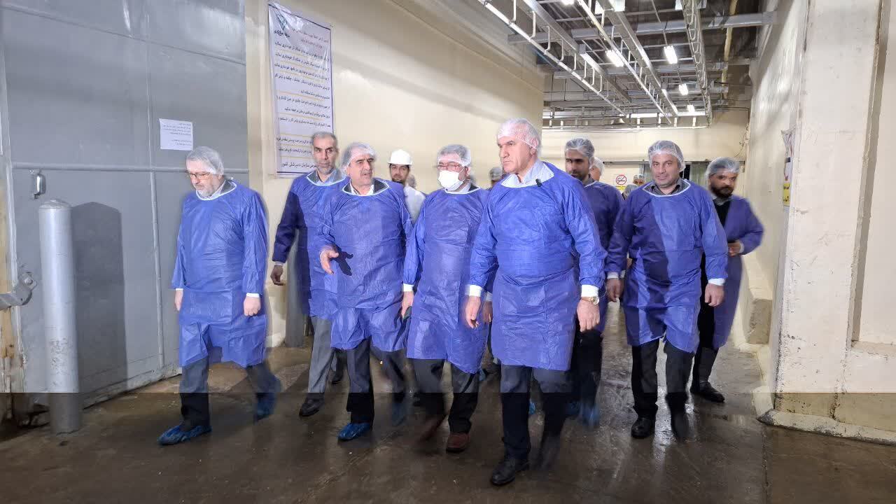 استان قزوین می تواند نیاز گوشت قرمز کشور را تامین کند