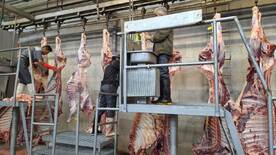 مجتمع گوشت زیاران می تواند کمبود گوشت قرمز کشور را تامین کند
