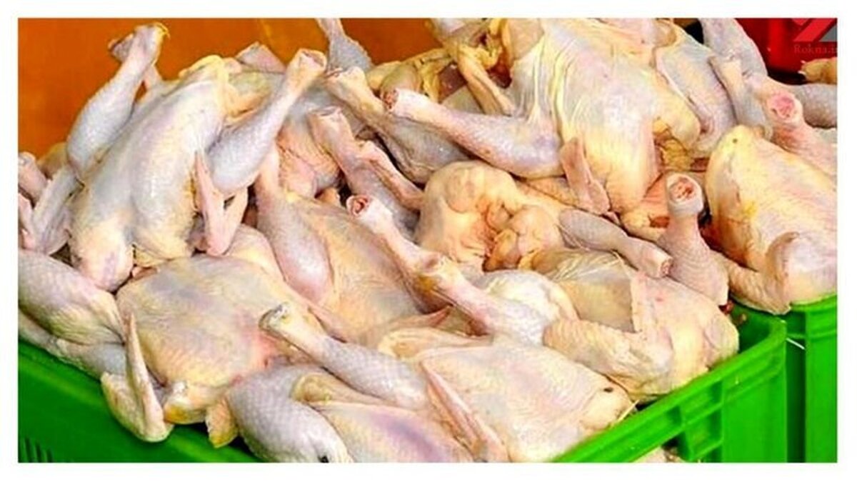 افزایش ۴ درصدی عرضه گوشت مرغ در دی ماه