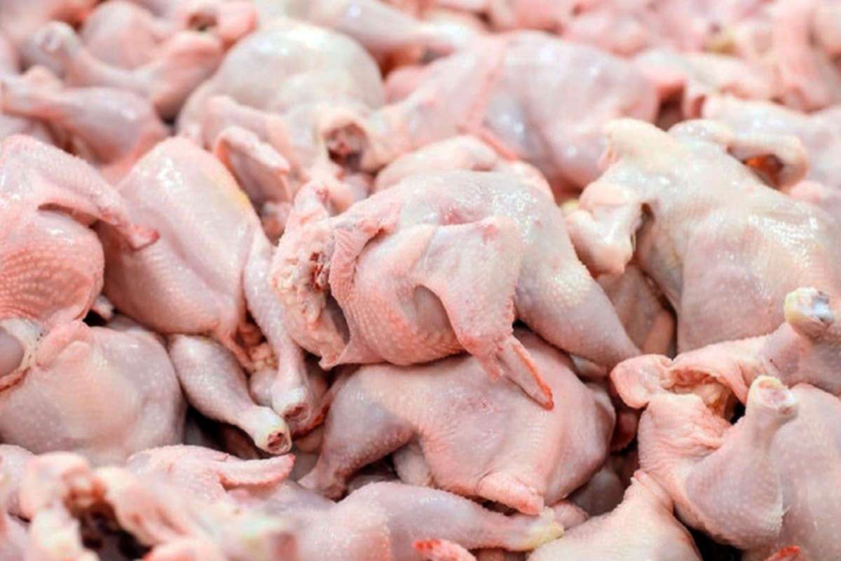 کاهش 30 هزار تومانی قیمت مرغ در بازار