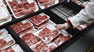 تغییر روش توزیع گوشت وارداتی