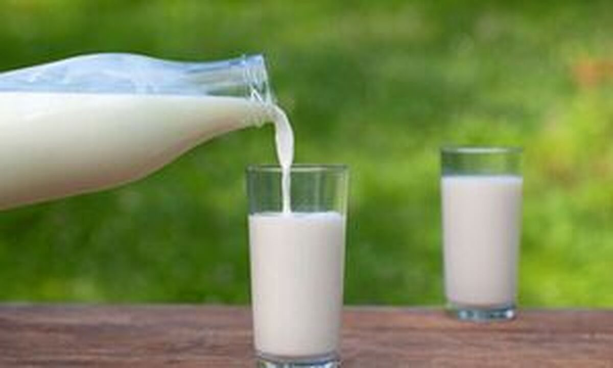 آیا شیر برای دیابتی‌ها مضر است؟