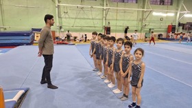 1300 بیمه شده ورزشی در رشته ژیمناستیک استان قزوین فعالیت می کنند