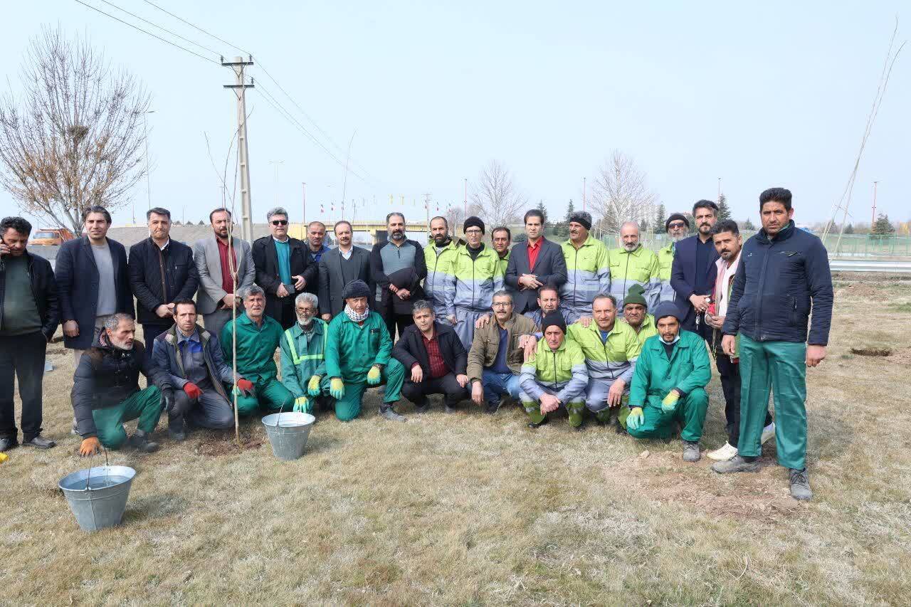 ۳ هزار اصله نهال در شهر محمدیه و مهرگان غرس شد