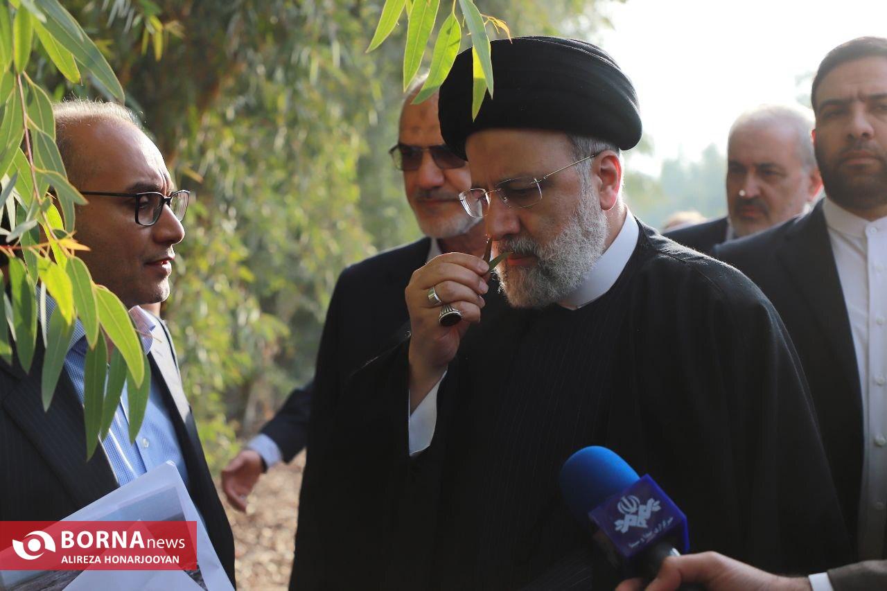 افتتاح فاز یک بزرگترین واحد تولید ورق‌های فشرده چوبی غرب آسیا با حضور رییس جمهور