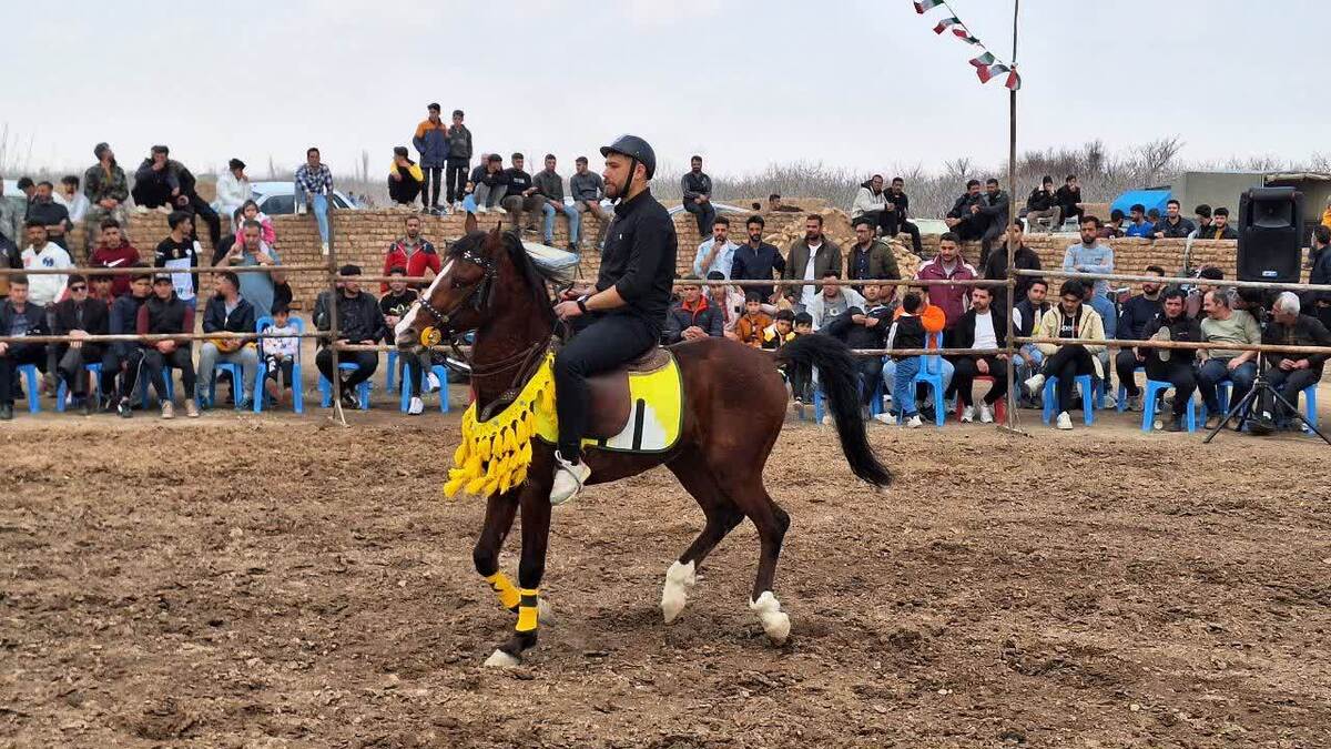 مسابقات درساژ و جشنواره زیبایی و شوهای اسب در قزوین را برگزار می کنیم